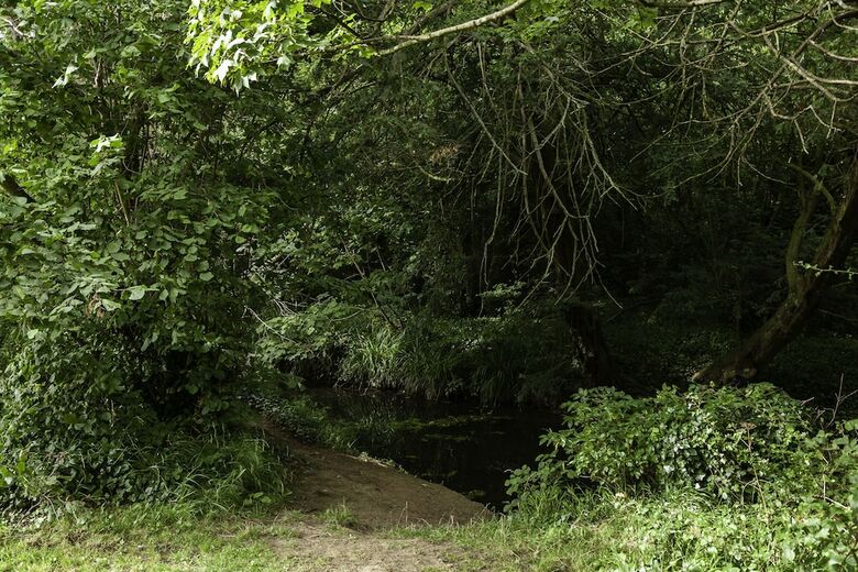 Holiday Inn Express Hotel Dublin Airport