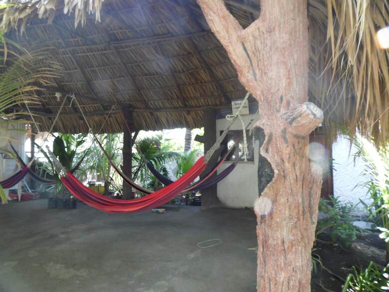 Hotel Marbella Eco Lodge