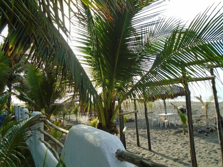 Hotel Marbella Eco Lodge