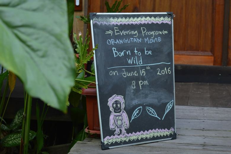Posada Rimba Orangutan Eco Lodge