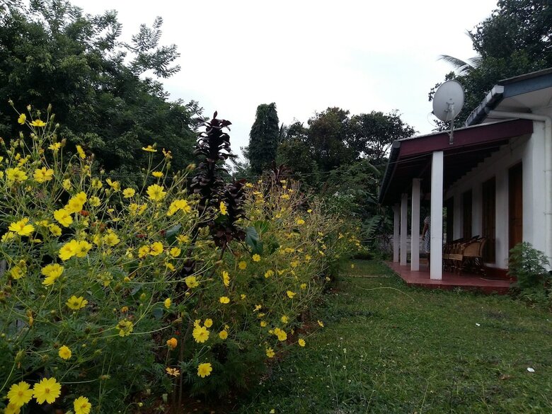 Treasure Villa