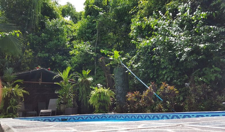 Hotel La Posada And Jungle