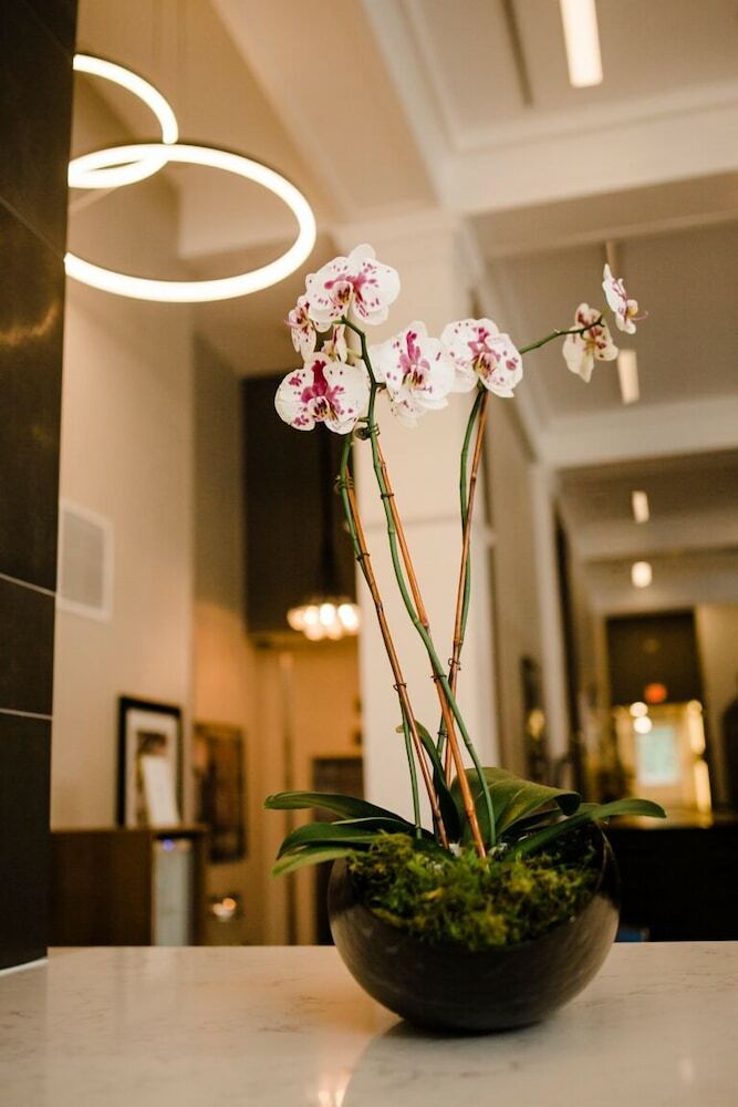 Hotel Napoleon, Ascend Hotel Collection
