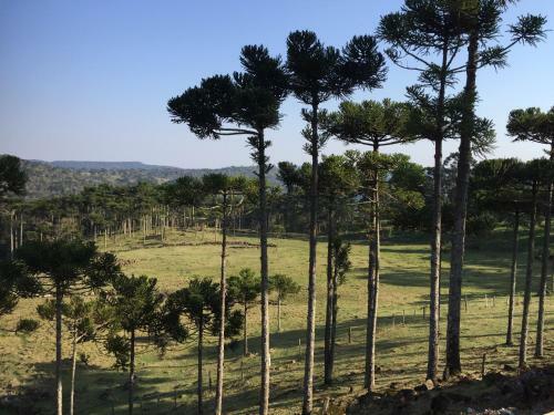 Agroturismo Pousada Vale Da Neblina