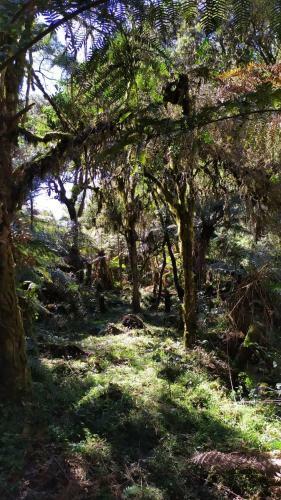 Agroturismo Pousada Vale Da Neblina