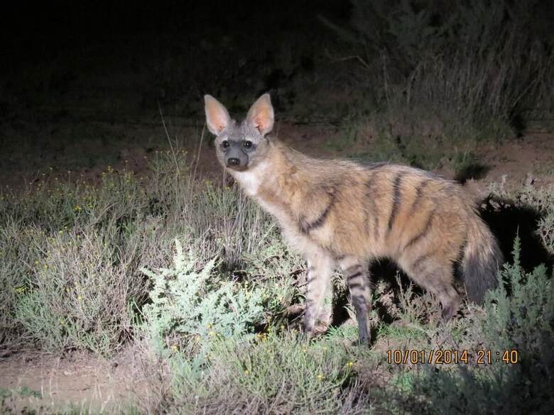 Karoo Gariep Tented Camp