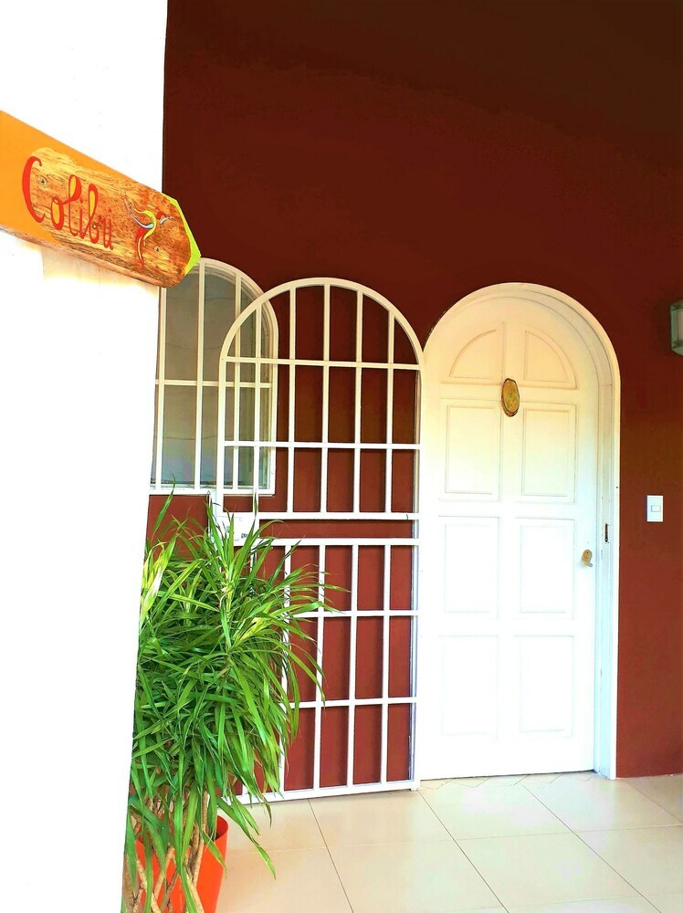 Casa Mapache B&B