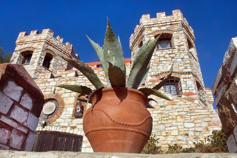 Hotel The Castle