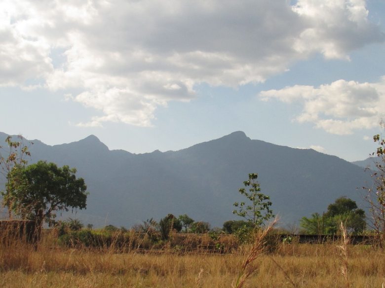 Udzungwa Forest Camp