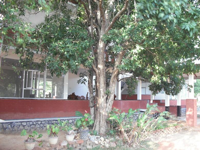 Hotel Sinhagiri Villa
