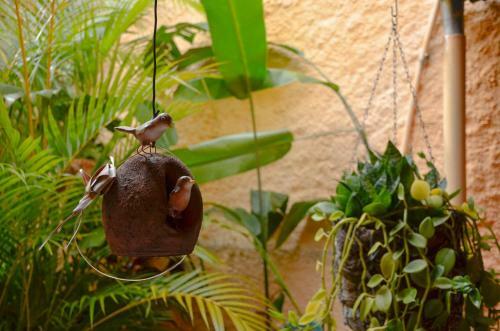 Hostal Pousada Portomares
