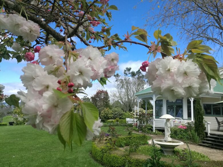 Bed & Breakfast Country Villa Estate