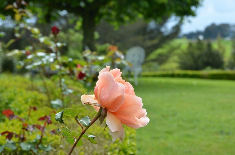 Bed & Breakfast Country Villa Estate