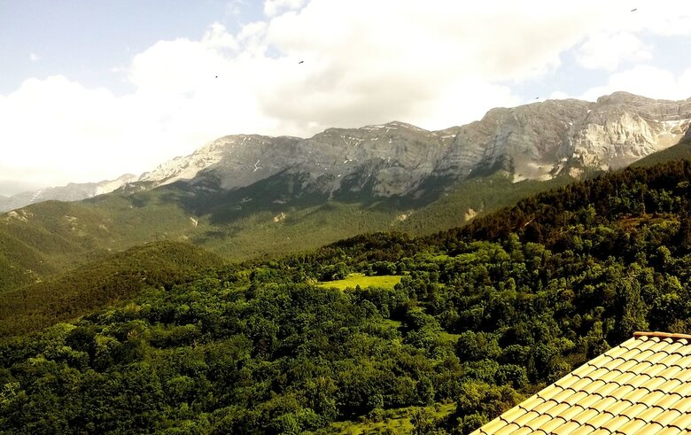Casa Rural Paller I Cort Del Pairot