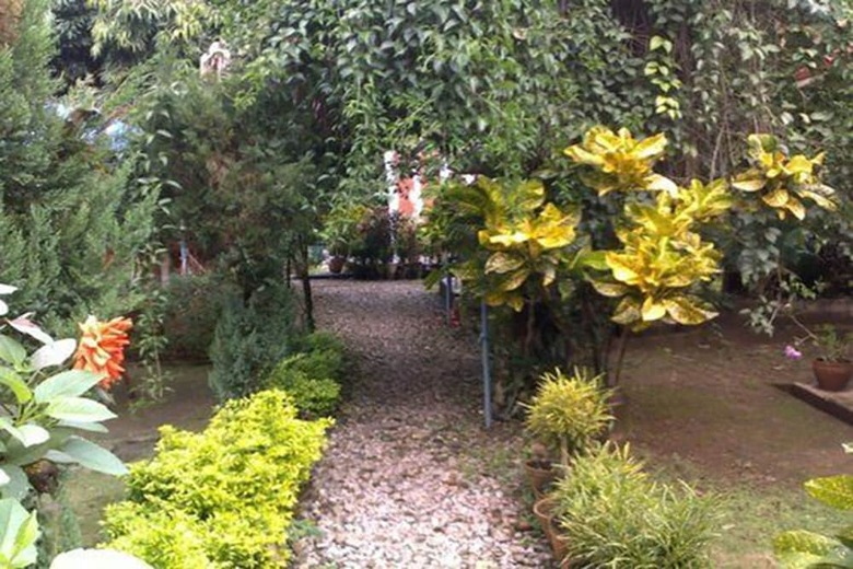 Hotel New Solitary Lodge