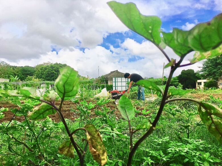 Hotel Aiai Farm