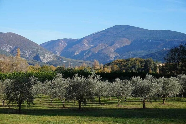 Bed & Breakfast Mas de Cocagne En Provence