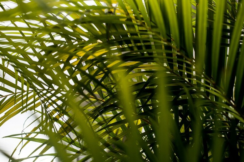 Hotel Qu� Ch�vere