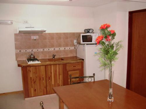 Hostal Apart Hotel Del Sir