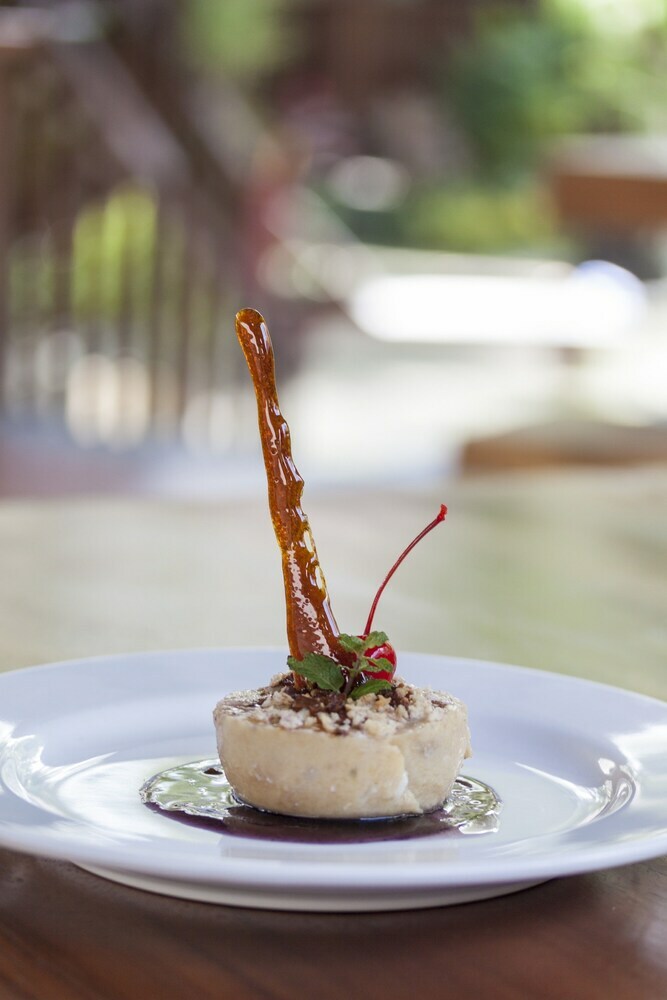 Hotel Coconut Boutique Resort
