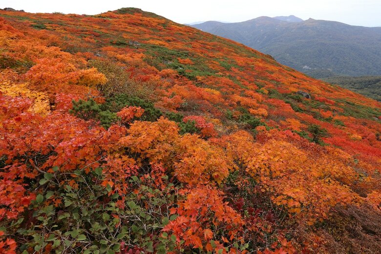 Hotel Appi Hills Shirakaba No Mori