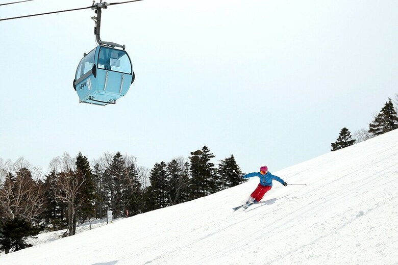 Hotel Appi Hills Shirakaba No Mori