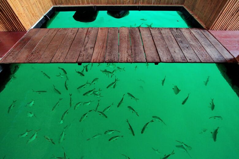 Hotel 500 Rai Khao Sok Floating Resort