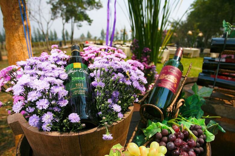 Hotel Village Farm & Winery