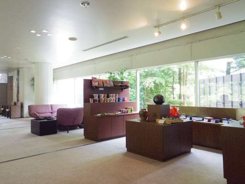 Hotel Hakone Gora Onsen Yumenoyu