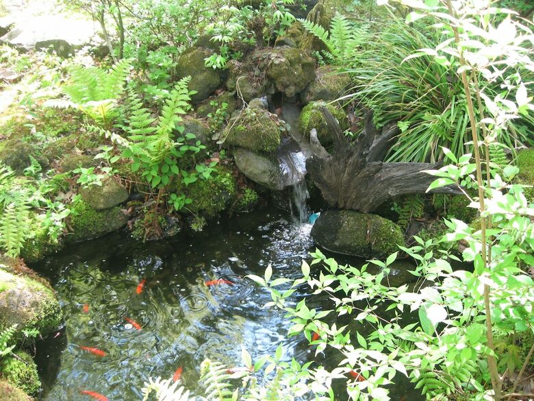 Bed & Breakfast La Forest de Nome Karuizawa