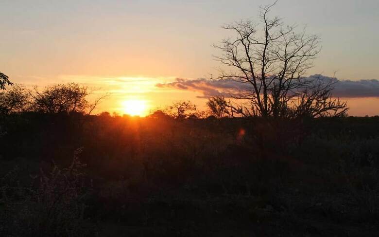 Posada Adansonia Eco Lodge