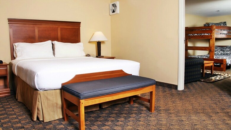 Hotel Holiday Inn Conference Center - Valdosta