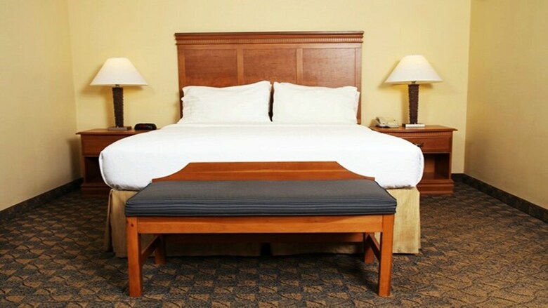 Hotel Holiday Inn Conference Center - Valdosta