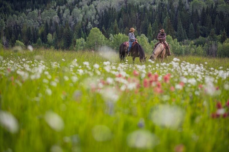 Bed & Breakfast Montana Hill Guest Ranch