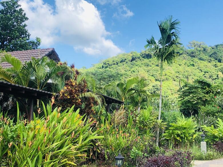 Hotel Atmaland Resort