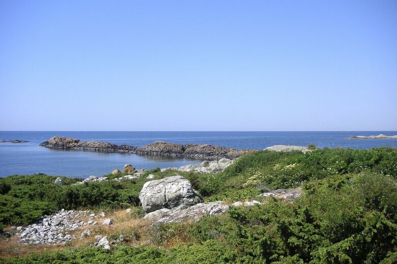 Motel Rasta Hallands�sen