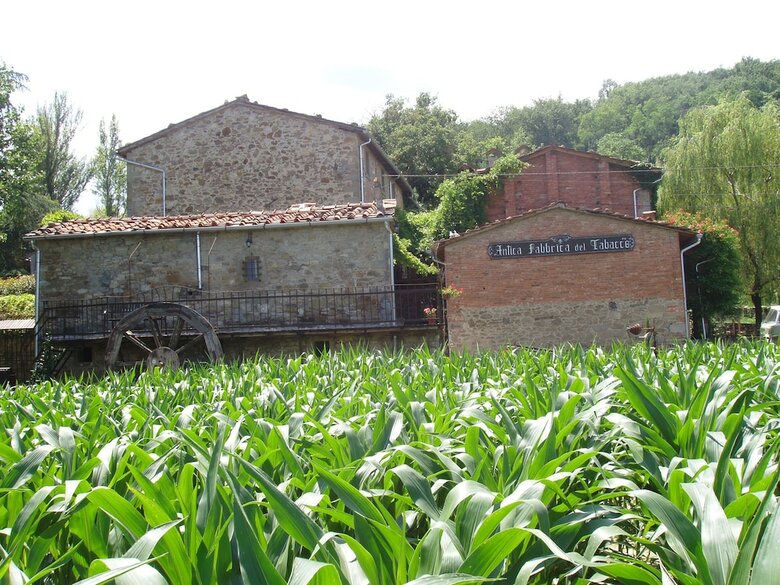 Apartamento Podere Casina Rossa