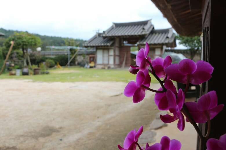 Hotel Kimho House