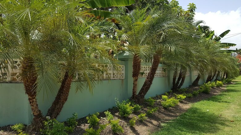 Apartamentos Ocho Rios Villa At Coolshade V