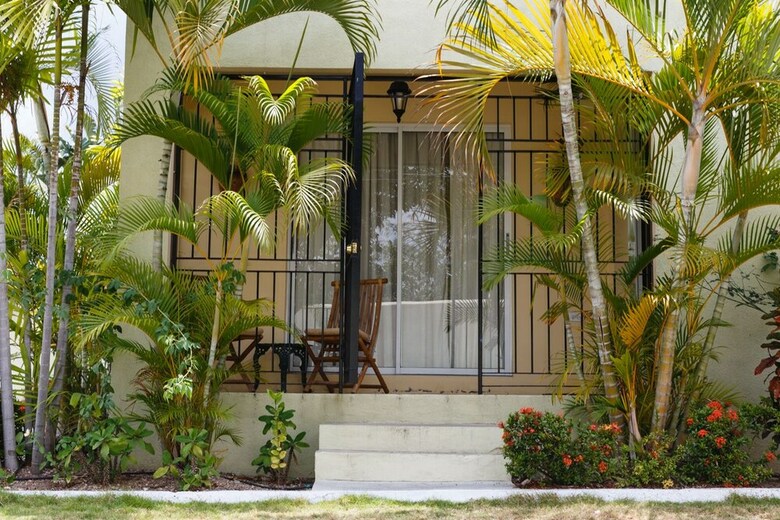 New Kingston Guest Apartment VII