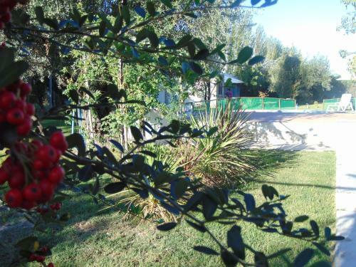 Lodge Caba�as Terra Olivo
