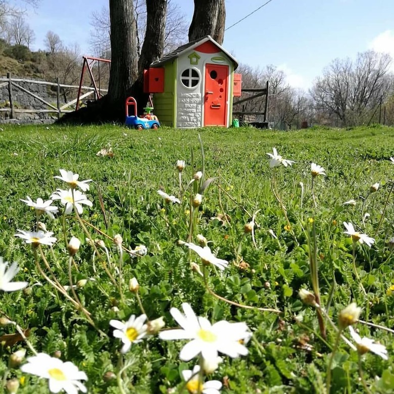 Agroturismo Viola Nel Parco