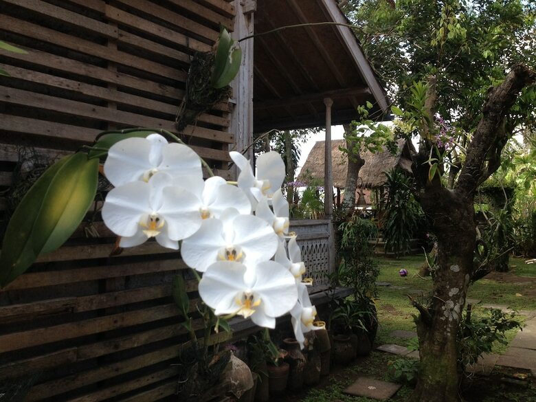 Hotel D'tegale Homestay