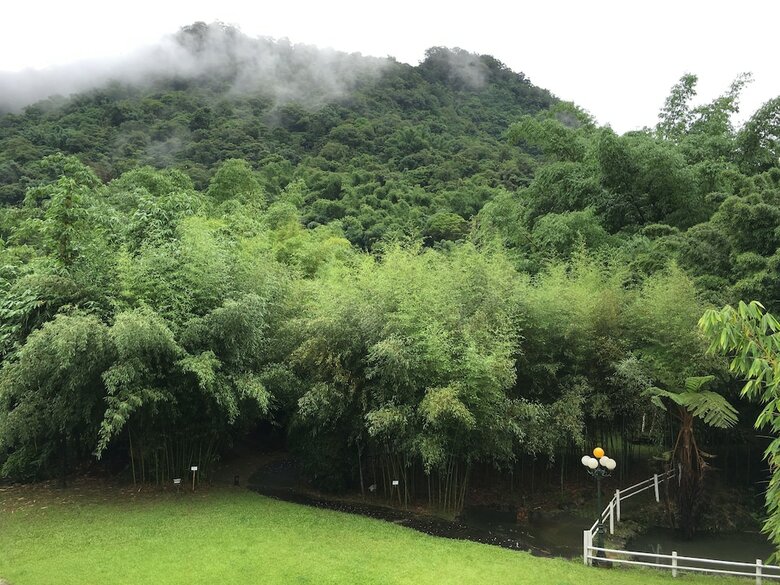 Bed & Breakfast Bamboo Paradise Resort & The Bamboo Inn