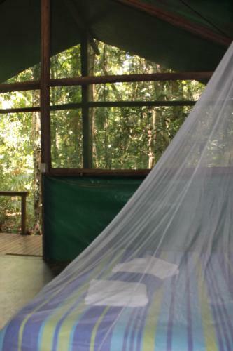 Lodge Daintree Crocodylus Village