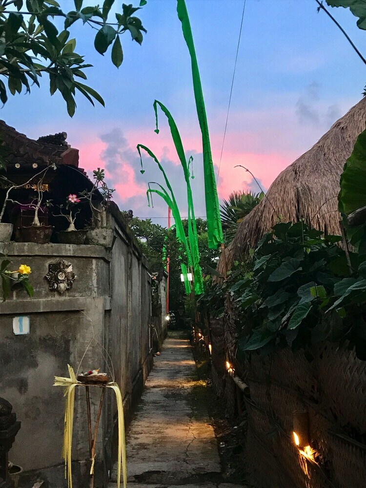 Hotel Angel House Ubud