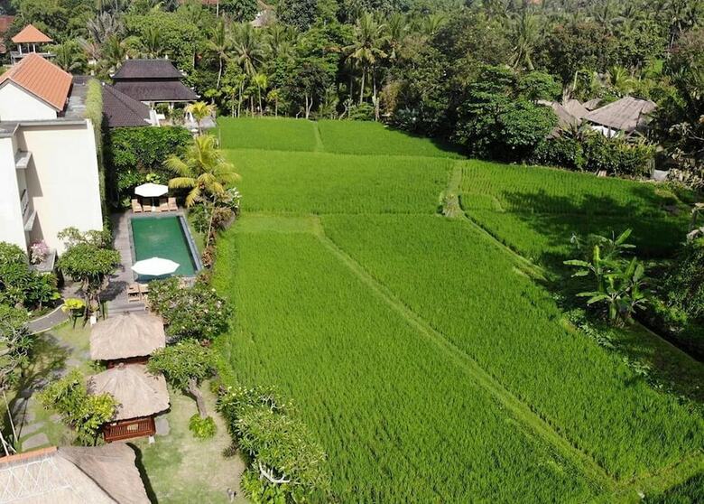 Hotel Byasa Ubud