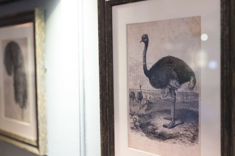 Posada The Ostrich Inn