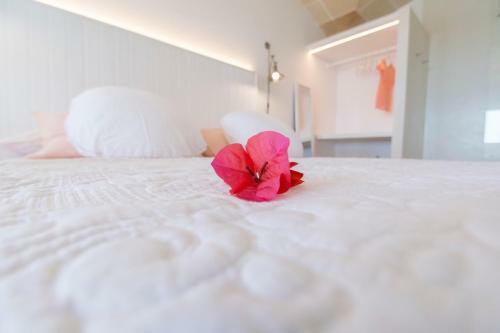 Agroturisme Son Vives - Adults Only