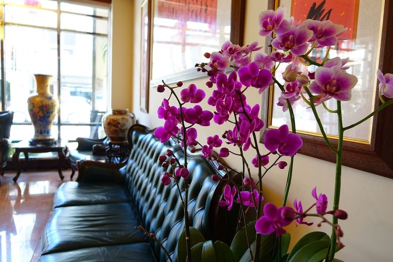 East Commercial Affairs Hotel